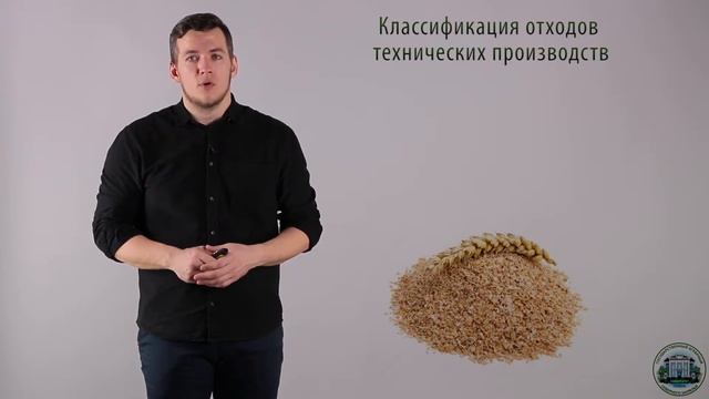 6 2 Зерно бобовых смотреть онлайн