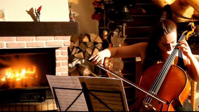 Johann Sebastian Bach Suite 2 by Anastasia Cherkashina (Master Cello Laubach LIM 918 C) смотреть онлайн