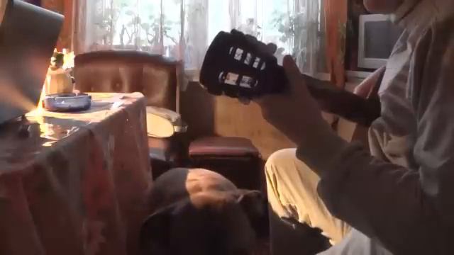 Под небом голубым смотреть онлайн