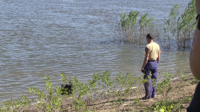 Томские росы, 2015