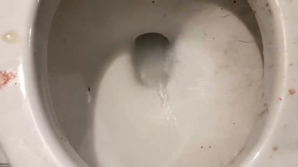 Will it Flush? - Coca Cola, Fanta, Mirinda Balloons and Plastic Balls