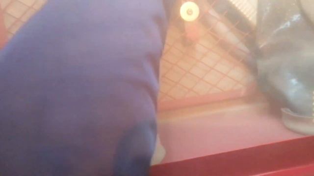 Testing a sandblasting cabin. Тестирую пескоструй, кабину для пескоструя, компрессор. смотреть онлайн