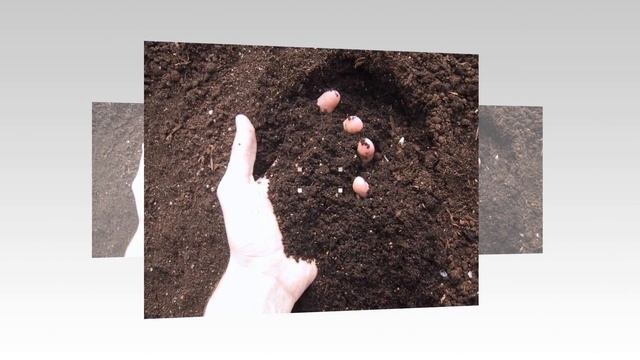 Охрана природы. Презентация для детей. Окружающий мир. смотреть онлайн