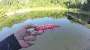 Воблер riprizer bearking, 112 mm, 15g