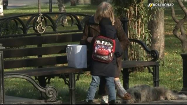 В Краснодаре пройдет проверка системы оповещения о ЧС смотреть онлайн