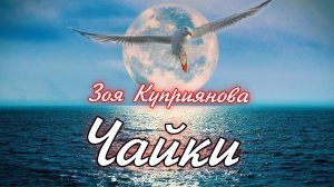 Чайки