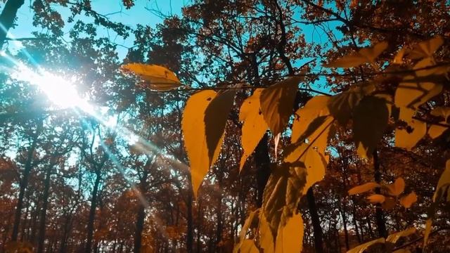 Стих. Сыну. смотреть онлайн