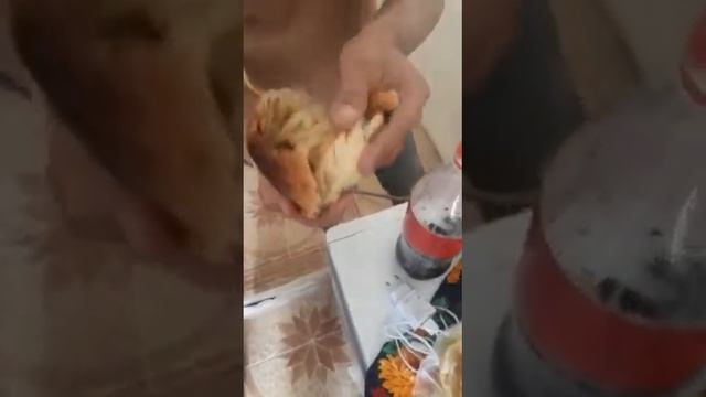 Самаркандская самса смотреть онлайн