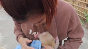 This baby monkey will be named Super Car | Lambo Family