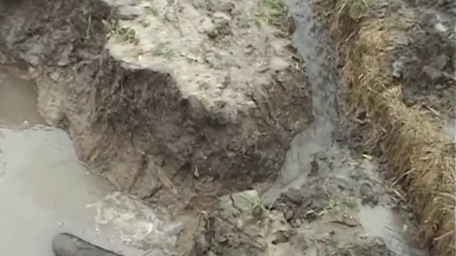 Луцьк викачка води 4 квітня смотреть онлайн