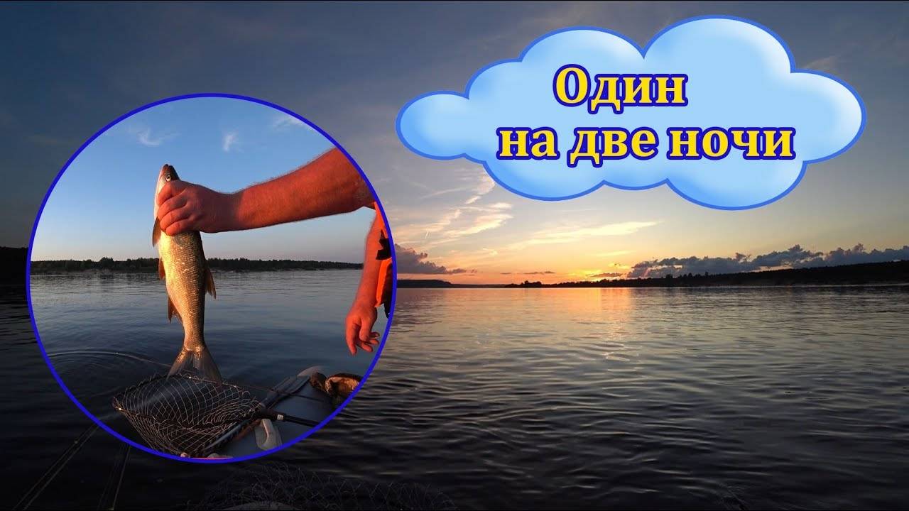 Жерех радует. Одинокая рыбалка на два дня и две ночи. смотреть онлайн