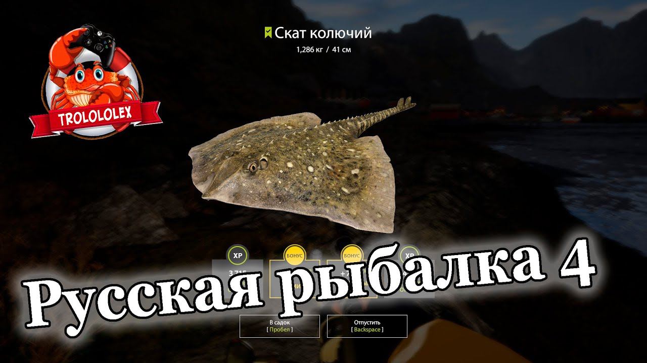 Русская рыбалка 4 Норвежское море с берега смотреть онлайн