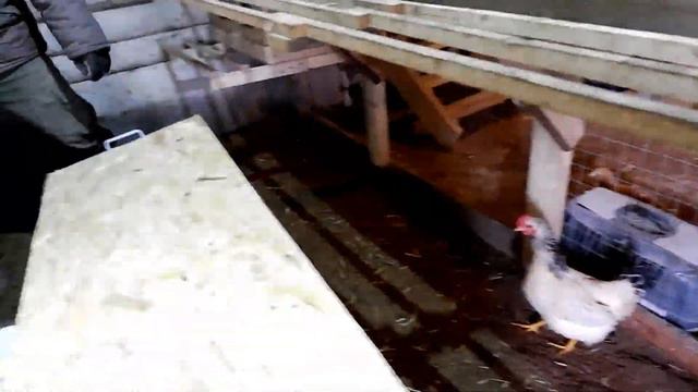 Гнезда для Уток смотреть онлайн