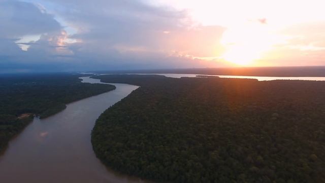 Искусство Руками