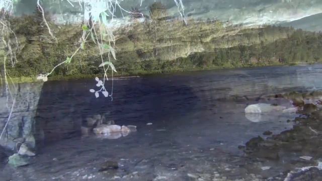 Я иду к Понеретки смотреть онлайн