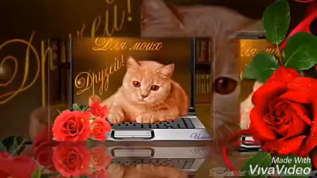 19 марта 2019 г. смотреть онлайн