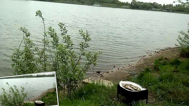 VID_20160515_150313чайки смотреть онлайн