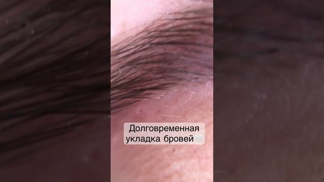 #browmaster #брови #top #video #бровист #brows #beautiful #beauty #best