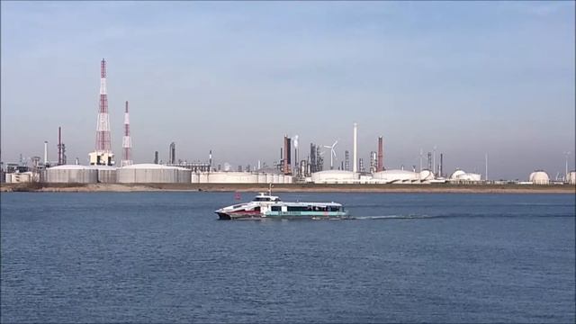 De Waterbus Aqua Ruby vaart op de Schelde in de Haven смотреть онлайн