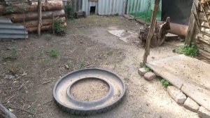 ОШИБКИ содержания.Летнее содержание бройлеров Мастер Грей.