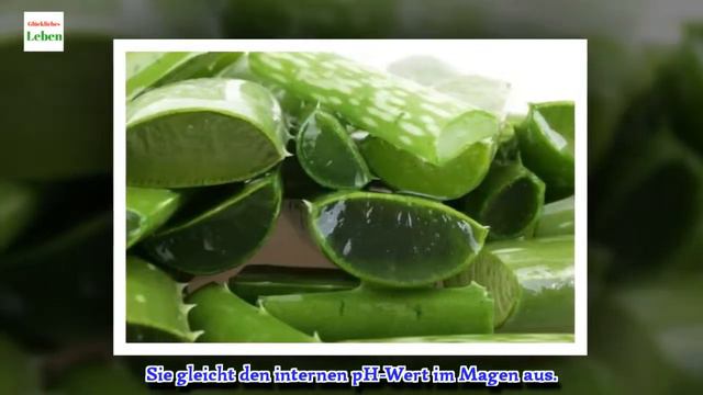 Aloe Vera gegen Magenbeschwerden смотреть онлайн