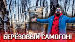 Ставить ли брагу на березовом соке или разбавить готовый дистиллят? Березовый самогон!