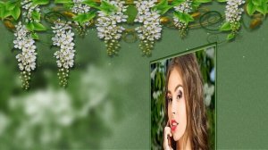 Белая черёмуха  -  бесплатный  проект для ProShow  Producer