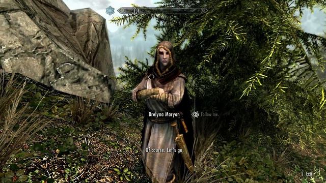 Let's Roleplay Skyrim - Part 81: Adala's New Pet смотреть онлайн