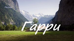 Гарри.. (рассказ)