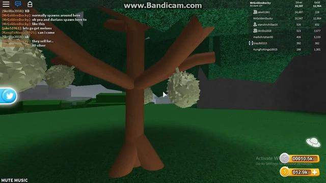 Rare fruit locations and price - Roblox Treelands смотреть онлайн
