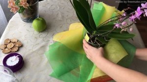 Как упаковать цветок в горшке на подарок.How to pack a plant for a gift