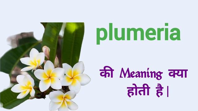 चम्पा को इंग्लिश में क्या कहते हैं | चम्पा ko english mein kya kahate hain | चम्पा in english | смотреть онлайн