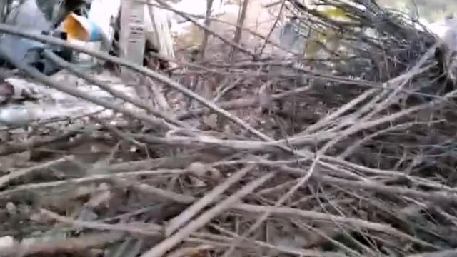 #ЕЙСК, #ДАЧИ ? В гостях у Виктора и Лидии. Нашла мужика! Орех спилен. смотреть онлайн