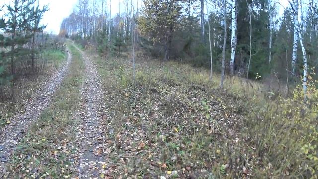 Электромегафон РМ-25СП с плеером внешним микрофоном аккумулятором смотреть онлайн