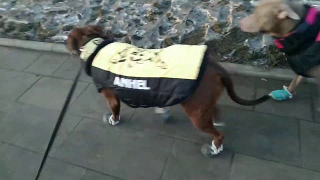 Поход в магазин к метро, одели обувь, так как там сыпят реагенты на асфальт! смотреть онлайн