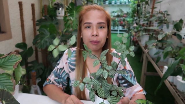 DIFFICULT PLANTS FOR BEGINNERS! || Plants To Avoid As A Beginner смотреть онлайн
