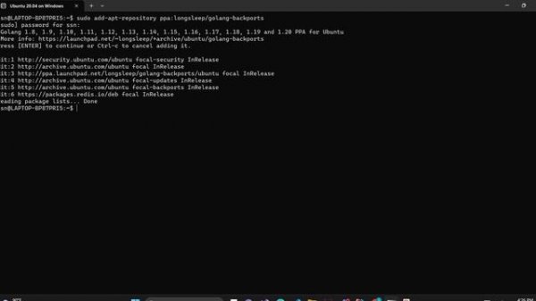 Update golang version in wsl or Ubuntu or Linux