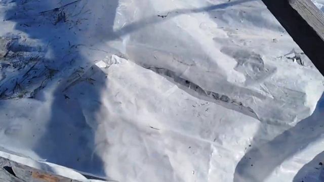 #КЛУБНИКА. КАК СОХРАНИТЬ РАССАДУ ДО ВЕСНЫ смотреть онлайн