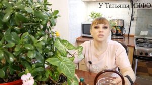 ПЕРЕКИСЬ ВОДОРОДА ДЛЯ КОМНАТНЫХ ЦВЕТОВ / Быстро растут и не болеют!