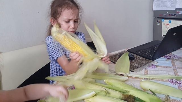 Готовим кукурузу смотреть онлайн