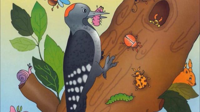 изучаем деревья дуб смотреть онлайн