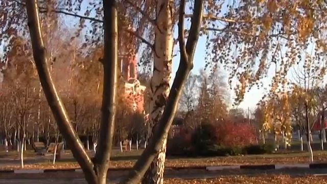 Поздравляем с Днем народного единства! смотреть онлайн