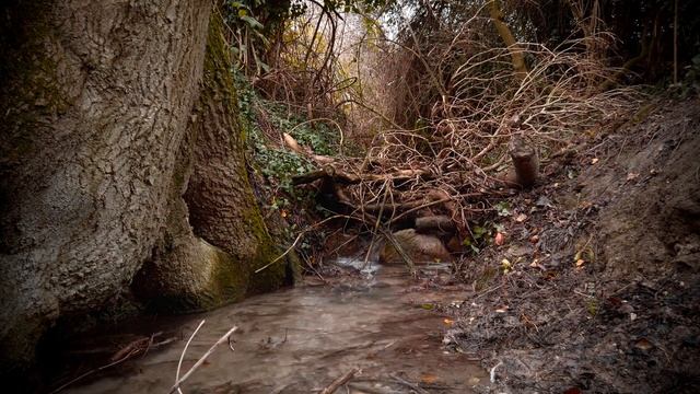 [EPIC 4K Cinematic Video] Nature And Water Video And Sounds (Relaxing & Calming)