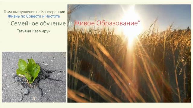 Т.Казмирук Семейное обучение и Живое Образование смотреть онлайн