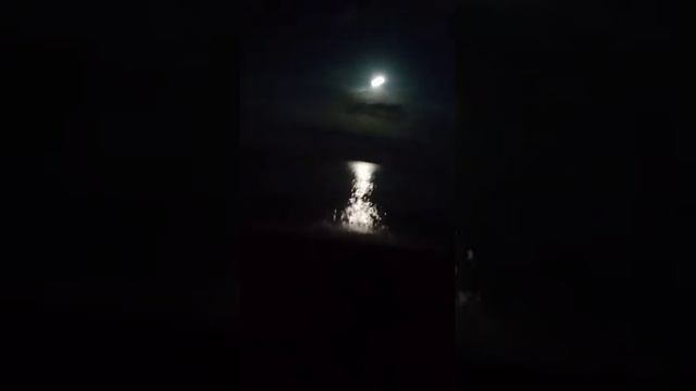 Юг Ночное море смотреть онлайн