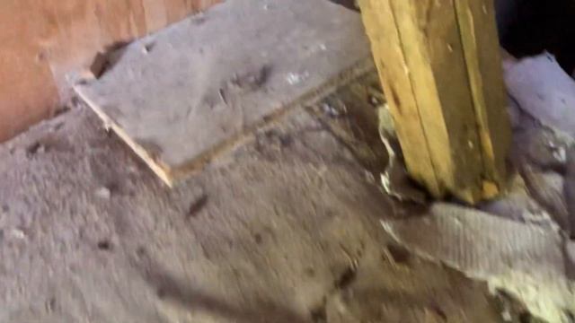 #7 Заброшенная дача | 2 этаж! | Что в сарае | Распродажа в IKEA смотреть онлайн