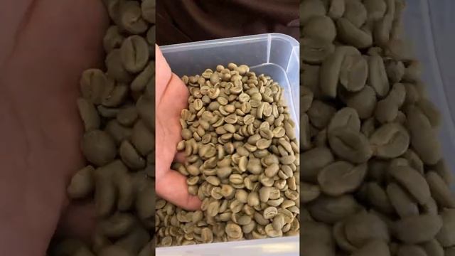 Почему зеленый кофе нельзя заварить смотреть онлайн