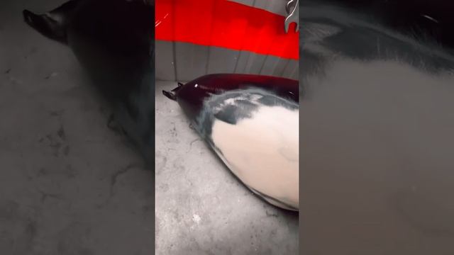 Выправление вмятин на топливном баке мотоцикла Harley-Davidson Sportster смотреть онлайн