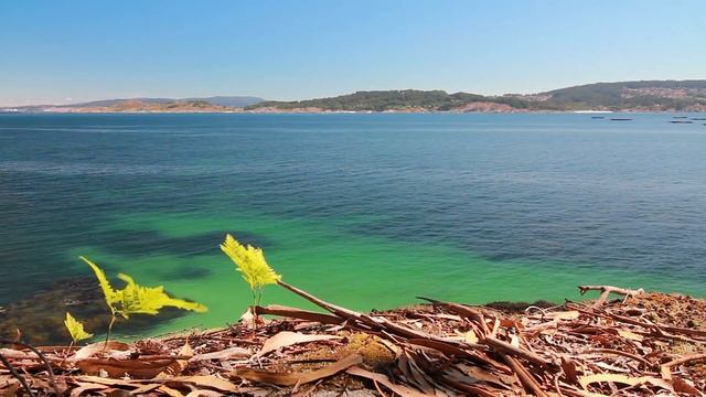 Расслабляющая музыка - Звуки дождя - Музыка для медитации, отдыха, сна, учебы и работы смотреть онлайн