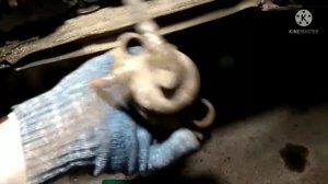 Volkswagen Golf 2. Направляющие Пальцы Суппорта,  ремонт замена пальчиков ®️